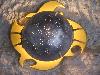 gal/design_/_thb_eclipse.jpg